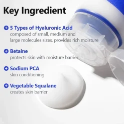 Hyaluronic Acid Aqua Gel Cream|ISNTREE