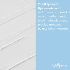 ISNTREE Hyaluronic Acid Low-pH Cleansing Foam< Korean Skincare|Gezichtsreiniging