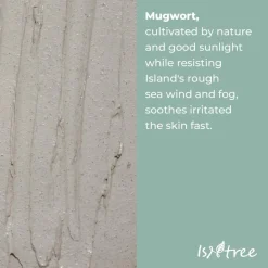 Mugwort Calming Clay Mask|ISNTREE Outlet