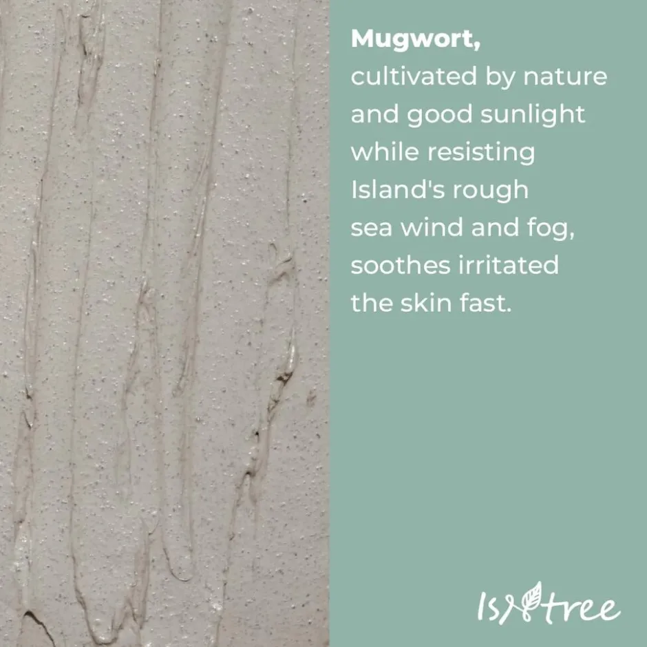 Mugwort Calming Clay Mask|ISNTREE Outlet