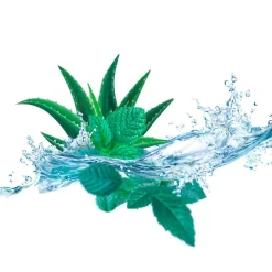 Kneipp Cooling Aloë Vera Watermunt Voetbadkristallen< Voetbad