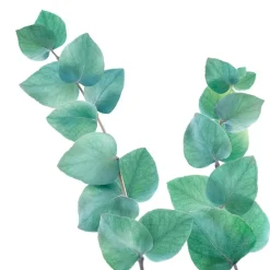 Kneipp Refreshing Eucalyptus Badkristallen< Badzout