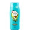 Exotic Coconut Shampoo|Kruidvat Best