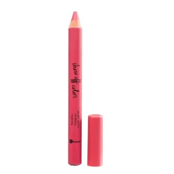 Show Off Colors 040 Cute Pink Velvet Matte Lip Pencil|Kruidvat New