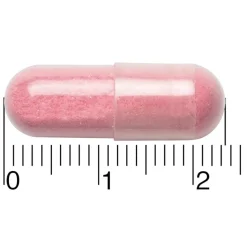 Cranberry + Probiotica Capsules|Leefvitaal New