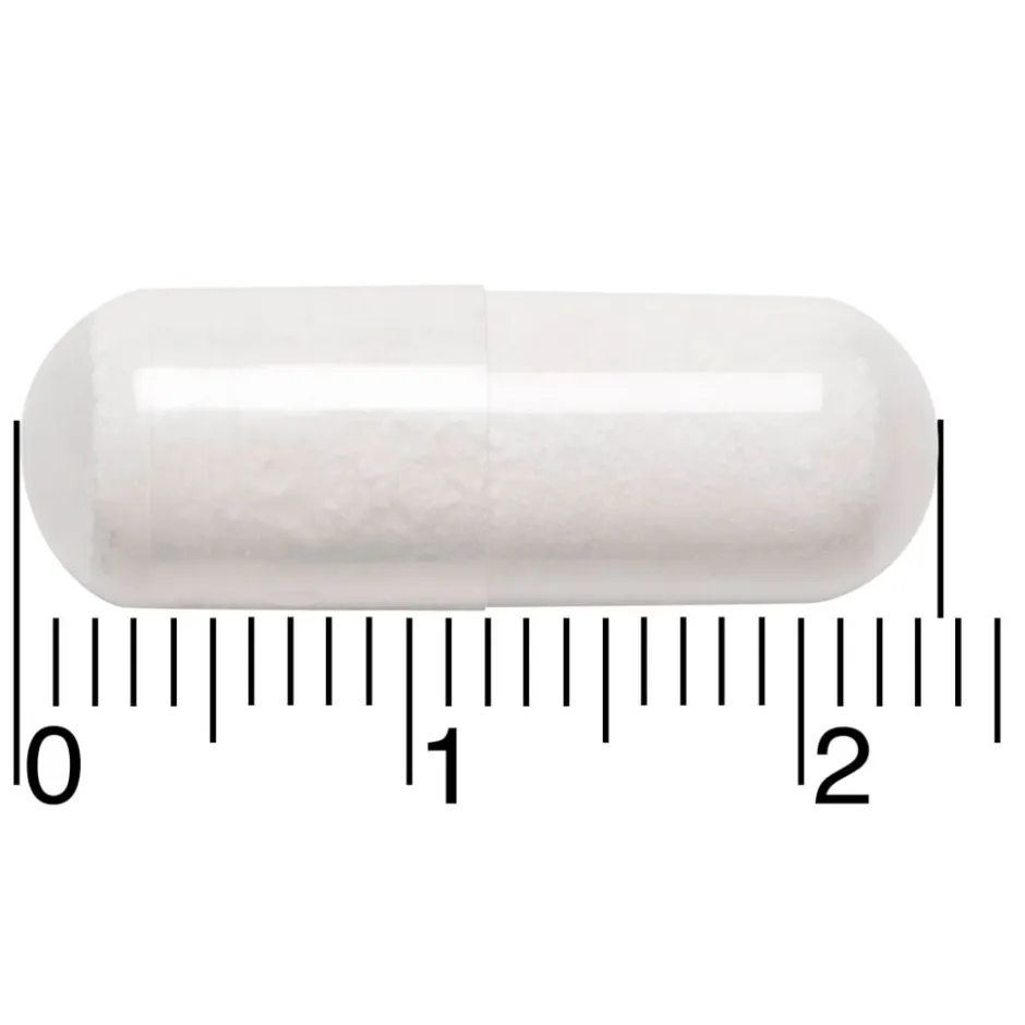 Magnesium L-Tryptofaan/B6 Capsules|Leefvitaal Hot