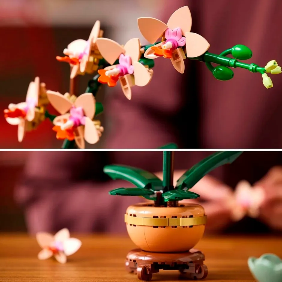 LEGO Botanicals 10343 Mini Orchidee< Lego Verjaardagscadeaus|Lego Volwassenen