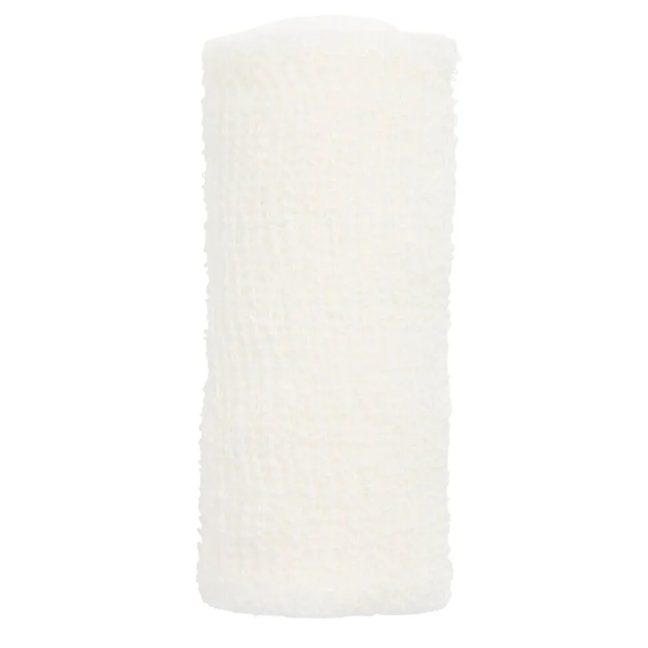Elastomull Fixatiewindsel|Leukoplast Discount