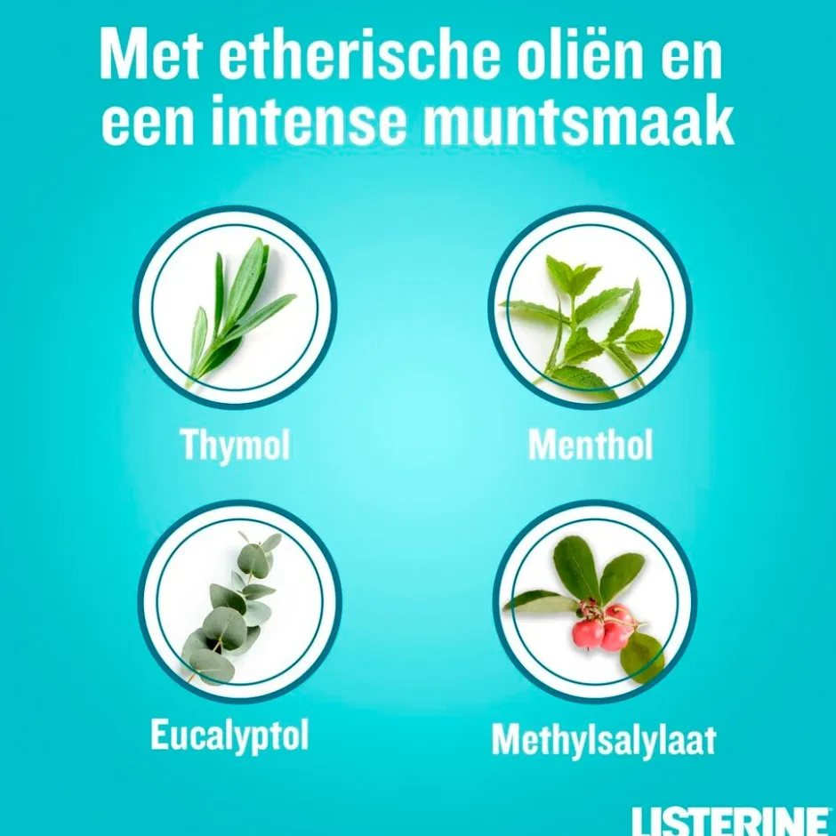 Listerine Cool Mint Mondspoeling< Mondwater En Mondspray
