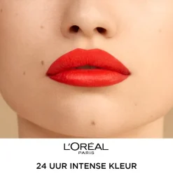 L'Oréal Paris Infaillible 24H 312 Incessant Russet Lipstick|L'Oreal Sale