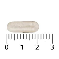 Bloeddruk Capsules|Lucovitaal Outlet