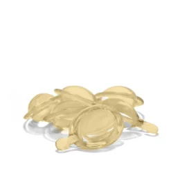 Lucovitaal Leavein Haarserum en Vitamine Beschadigd Haar< Haarserum