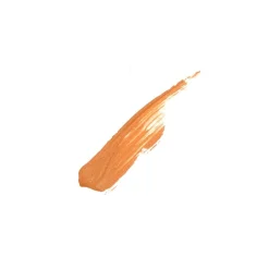 Flawless Glow 7 Warm Honey Luminous Skin Filter|MCoBeauty Discount