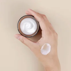 All In One Snail Repair Cream|Mizon Online