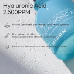 Hyaluronic Acid 100|Mizon Sale