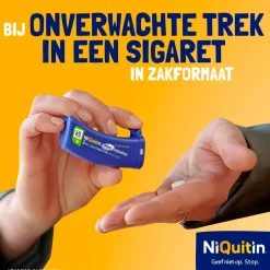 4mg Minizuigtabletten|Niquitin Best