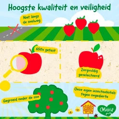 12+M Fruit Variatiemenu|Olvarit Sale