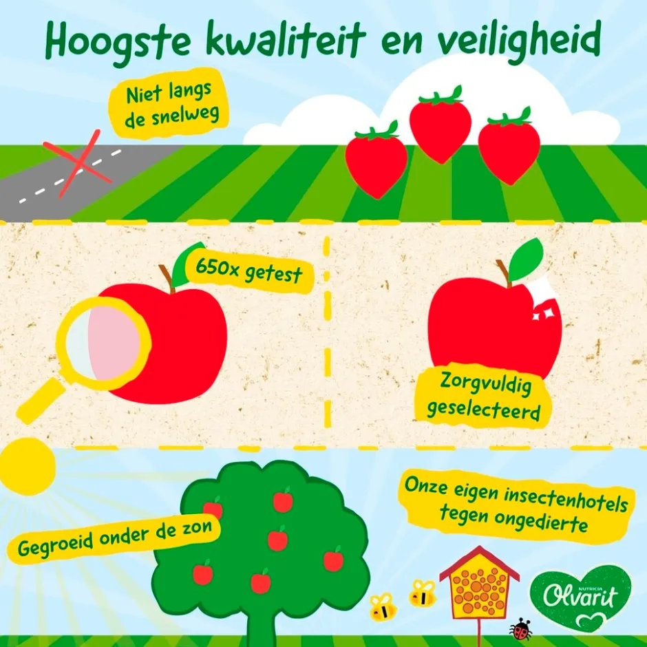 8+M Fruit Variatiemenu|Olvarit Outlet