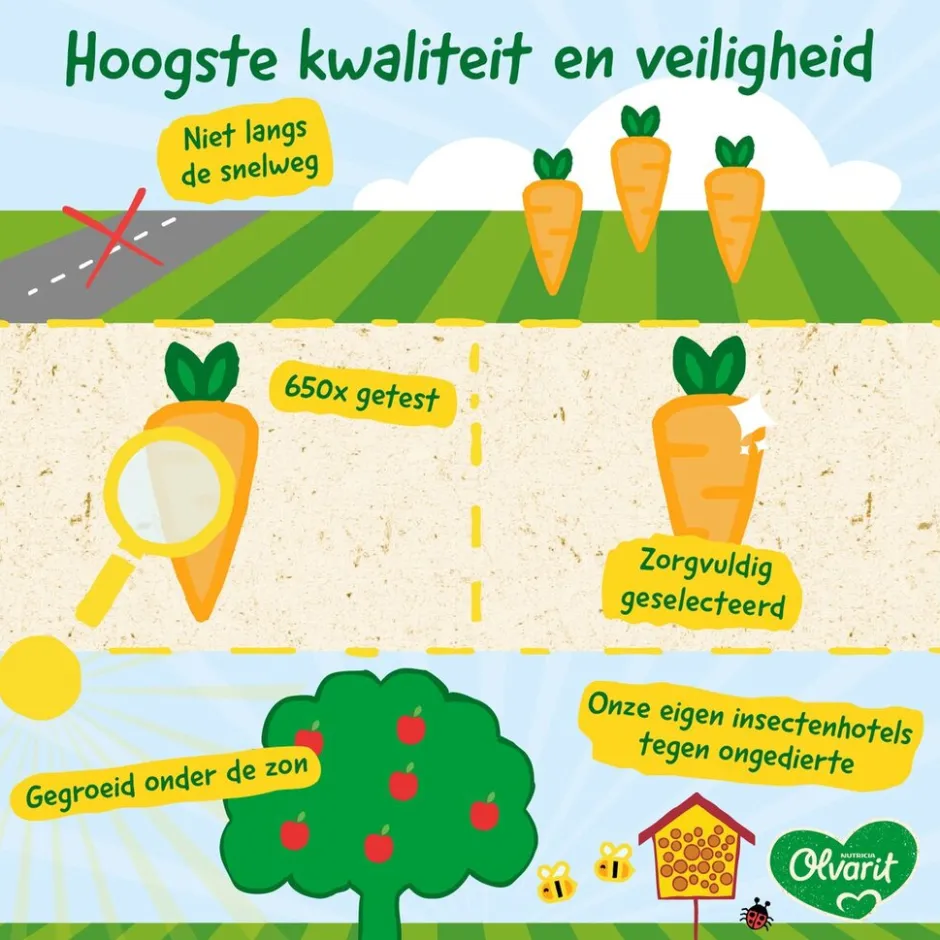12+M Pompoen Kip Pasta|Olvarit Online