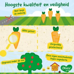 Olvarit 12+M Spinazie Kip Aardappel< Babymaaltijden