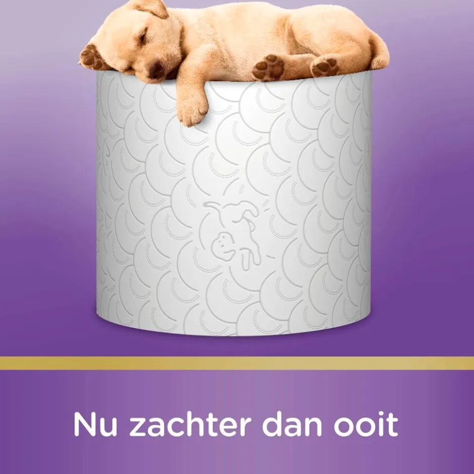 Kussenzacht Toiletpapier|Page Online