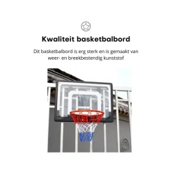 basketbalbord Fun|Pegasi New