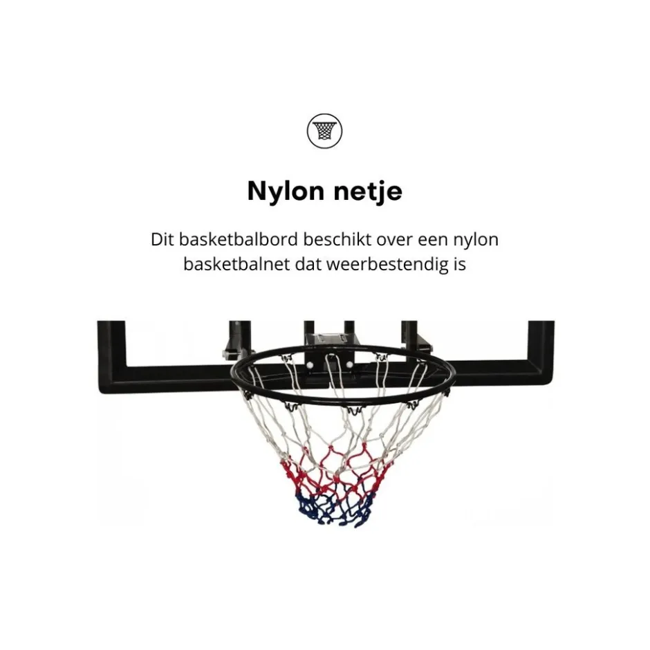 basketbalbord School|Pegasi Sale