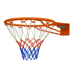 Pegasi basketbalring< Basketbalringen