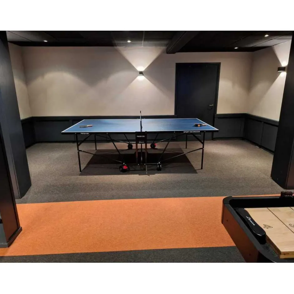 Tafeltennistafel 500 Indoor|Pegasi Outlet