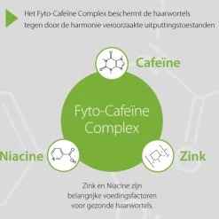 Plantur 39 Plantur39 Cafeïne Shampoo voor Gekleurd Haar< Shampoo