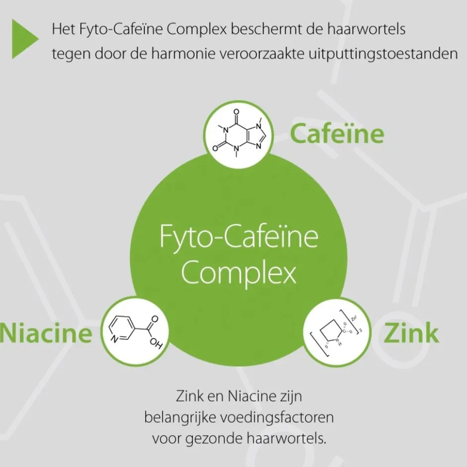 Plantur 39 Plantur39 Cafeïne Shampoo voor Gekleurd Haar< Shampoo