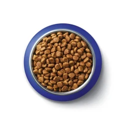 Purina Bifensis Adult Droog Kattenvoer met Zalm|One