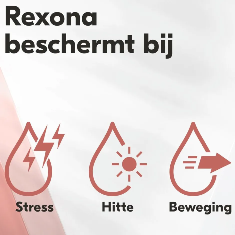 Women Maximum Protection Confidence Antitranspirant Stick|Rexona Best