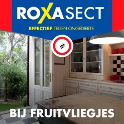 Roxasect Fruitvliegjes< Insectenbestrijding