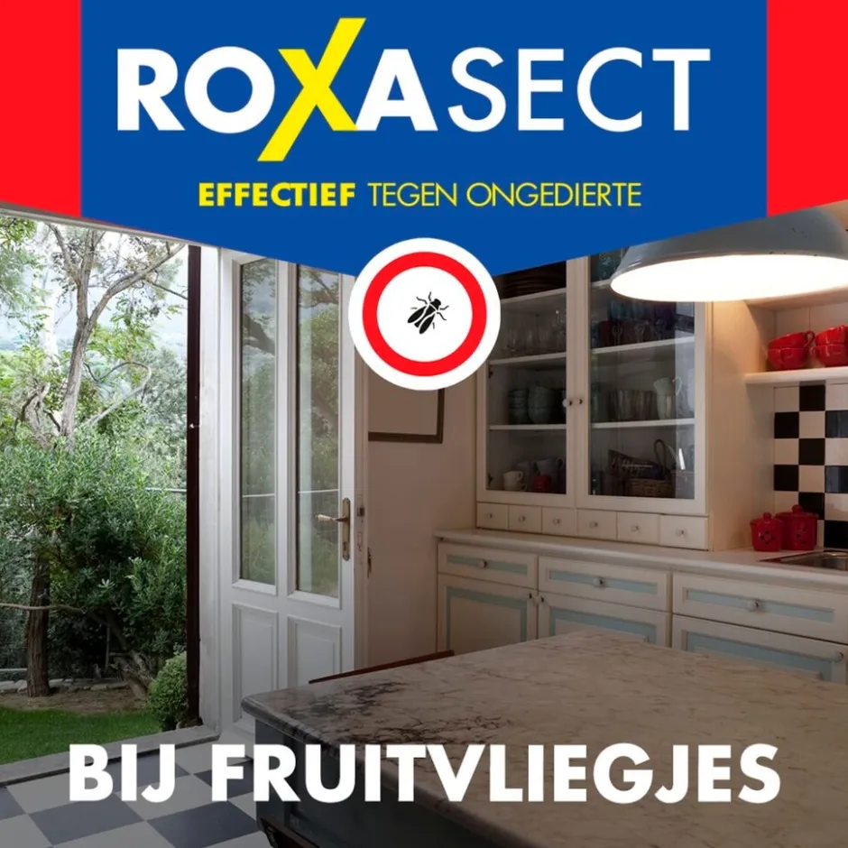 Roxasect Fruitvliegjes< Insectenbestrijding