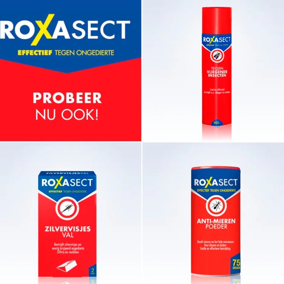 Roxasect Spuitbus tegen Kruipende Insecten en Wespen< Insectenbestrijding