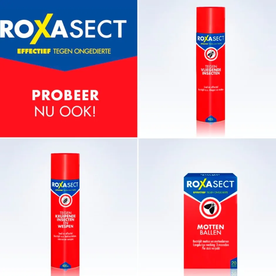 Zilvervisjesval|Roxasect Online