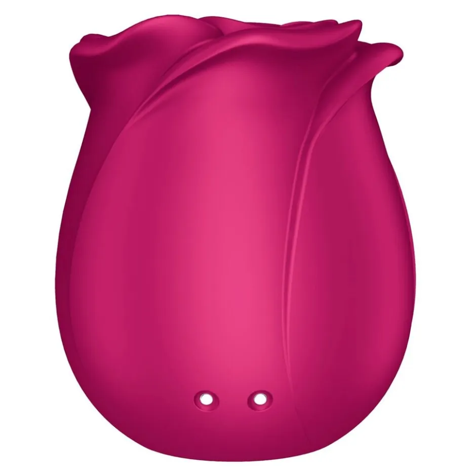 Pro 2 Classic Blossom Air Pulse Vibrator|Satisfyer Outlet