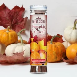 Scentsicles Pumpkin & Cider geurende kerstboomversiering met haken| Discount
