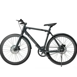 Sharp Milano e-bike 7Ah 1sp naked bike< Buiten En Vrije Tijd