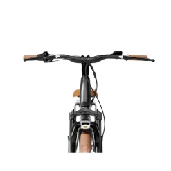 Sharp Queens dames ebike 7.8Ah 28 inch| Online