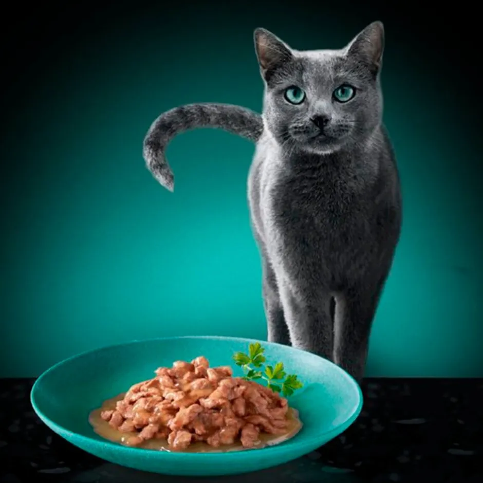 Délices du Jour in Saus met Zalm, Tonijn & Forel Maaltijdzakjes Kattenvoer|Sheba Clearance
