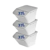 SmartStore Set van 3 Stevige Opbergbox Collect Stack-it 37L< Opbergen