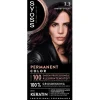 Professional Performance 3-3 Trendy Violet Permanente Haarkleuring|Syoss Hot