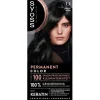 Salonplex 1-1 Zwart Permanente Haarkleuring|Syoss Sale