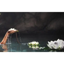 Therme Zen White Lotus Antitranspirant Spray< Deospray