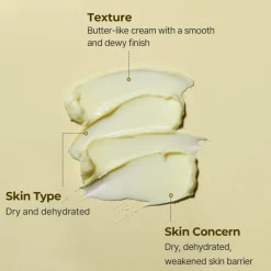 TORRIDEN SOLID-IN Ceramide Cream< Korean Skincare|Dagcreme