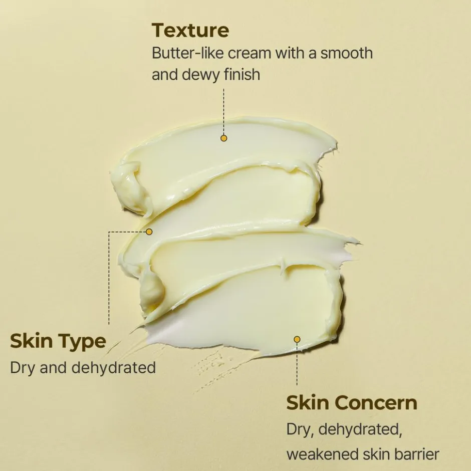 TORRIDEN SOLID-IN Ceramide Cream< Korean Skincare|Dagcreme