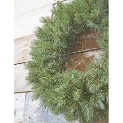 Triumph Tree Kerstkrans| Hot