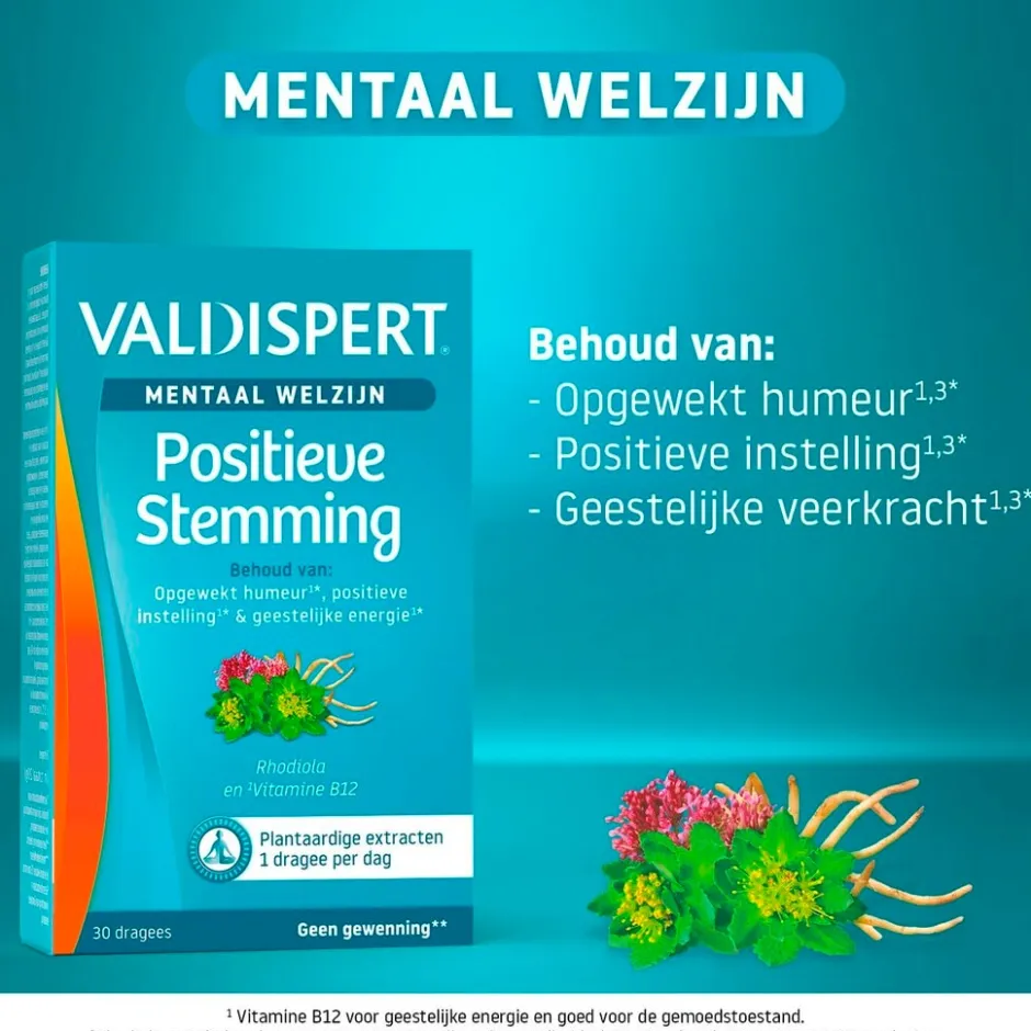Mentaal Welzijn Positieve Stemming Dragees|Valdispert New